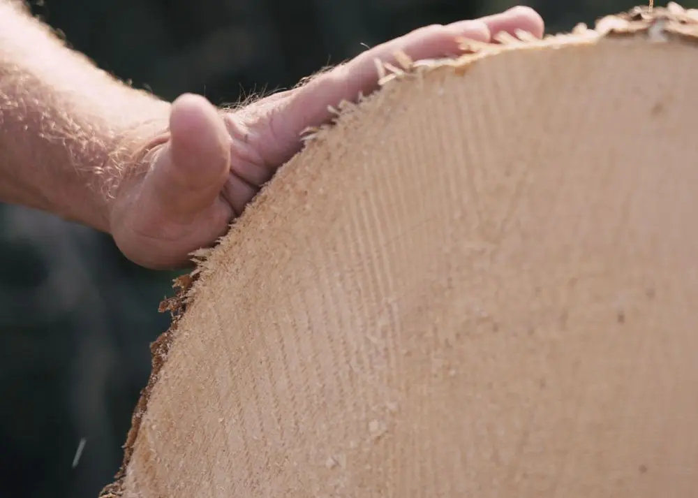 Holzvermarktung_1