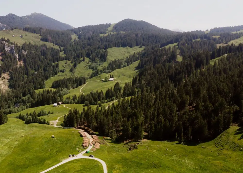 Waldmandate_1