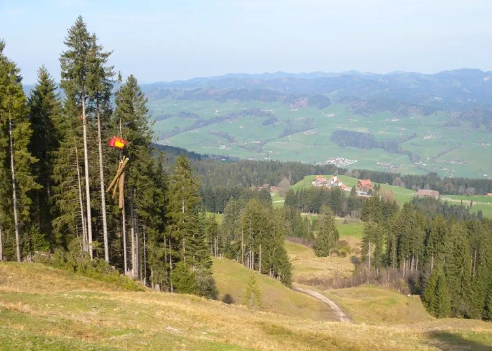 Waldmandate_2
